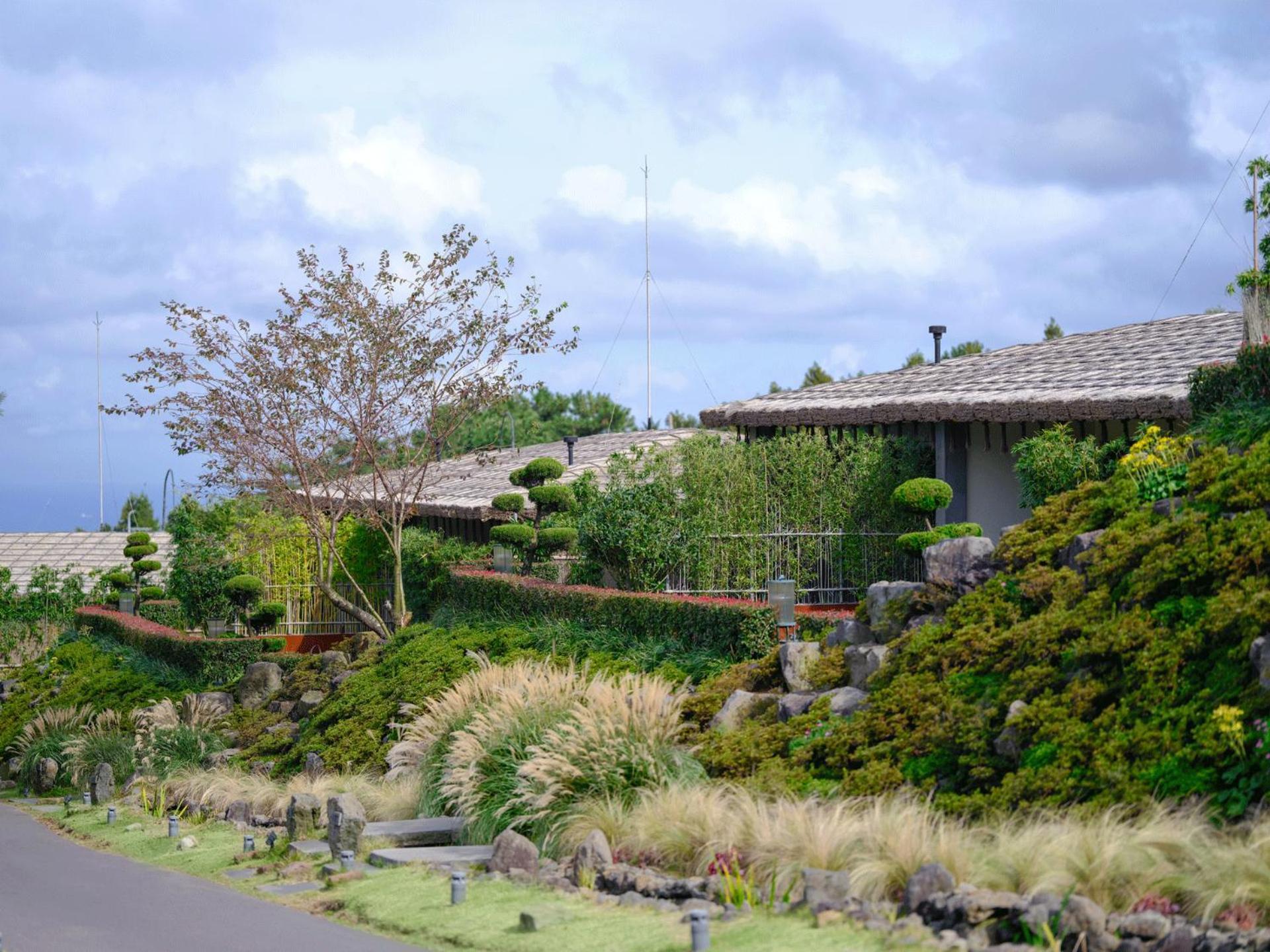 Amber Pure Hill Hotels&Resorts Jeju Exterior foto